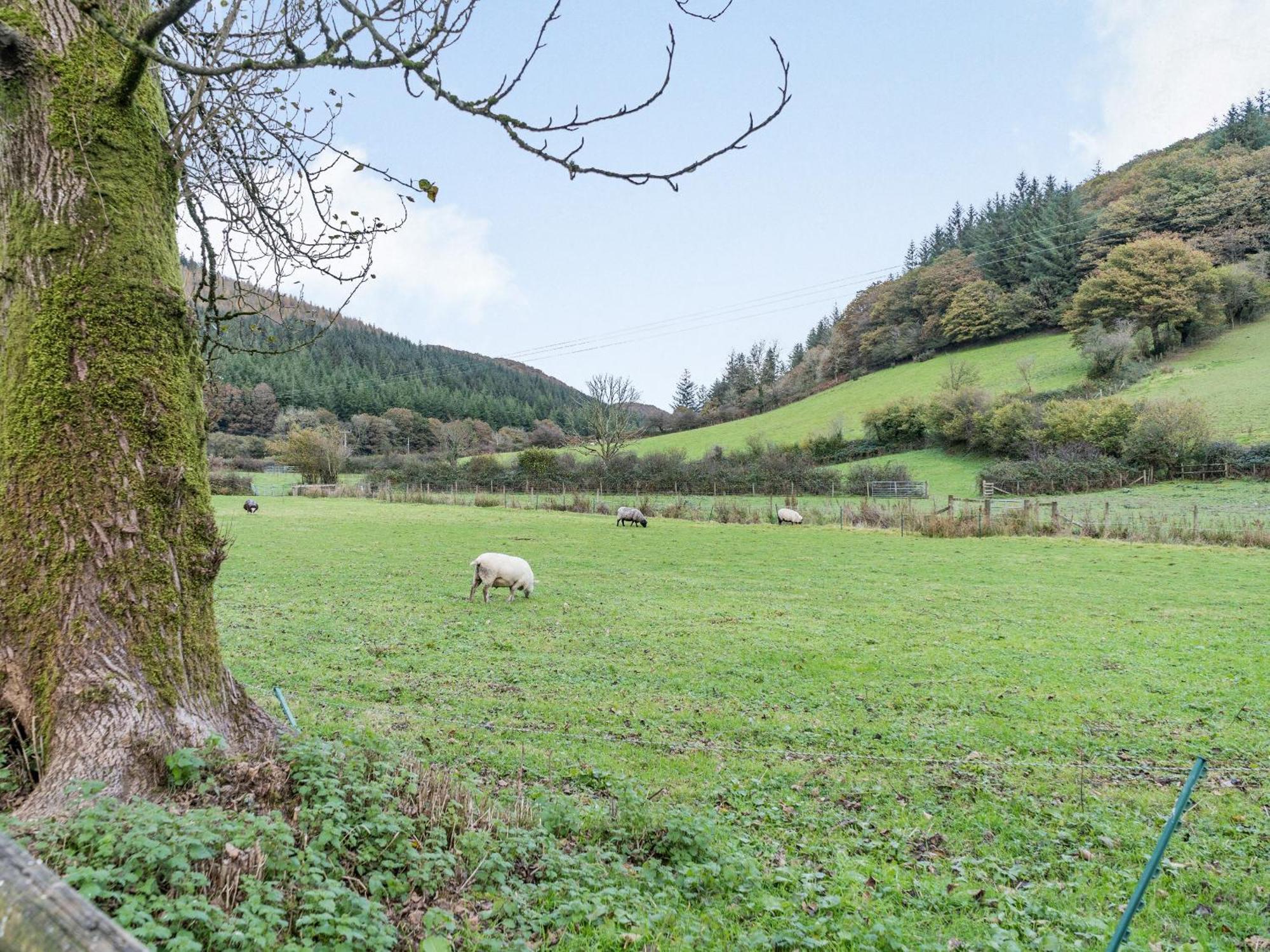 Pwll Farmhouse Llanllawdog Exterior foto